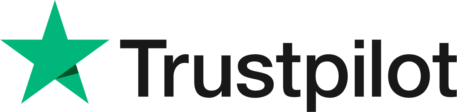 Trustpilot Logo scaled.png.bv resized desktop.png.bv